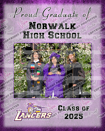 952590-2_NHS_collage