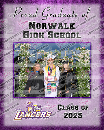 952451-2_NHS_collage