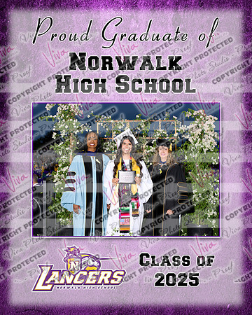 952781-2_NHS_collage