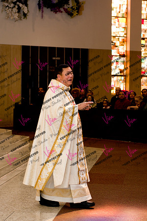 Viva_Studio_stc05102025_112